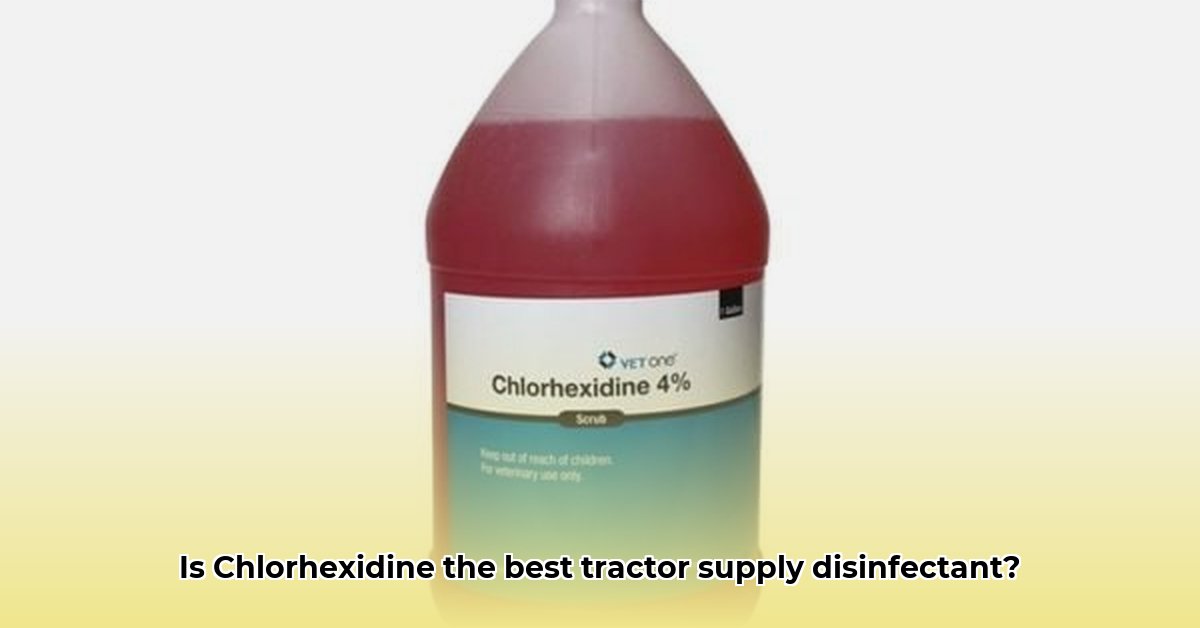 chlorhexidine-tractor-supply